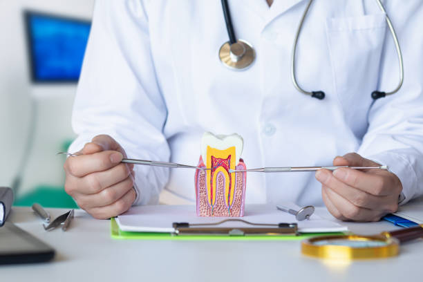 Best Emergency Treatment for Oral Infections in Everson, WA